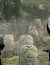 LargeHero_OCTSkyrim.jpg