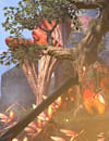ESO_Article_MorGameplay_1315x315.png