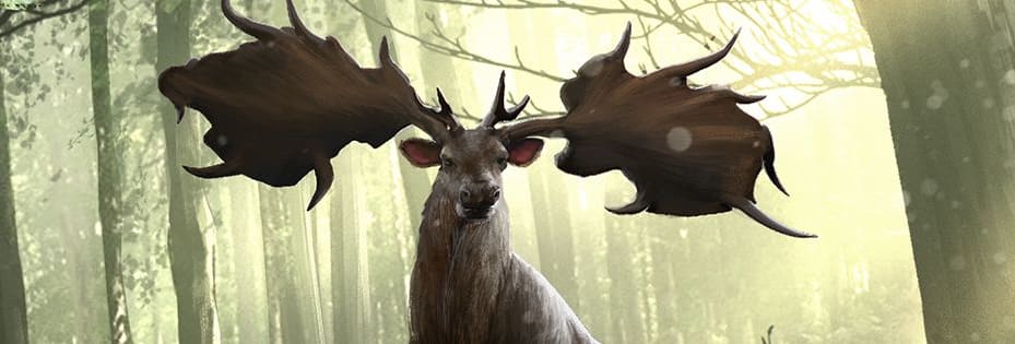 TESL_Wilds_Incarnate_ARTICLE_1315x315.jpg