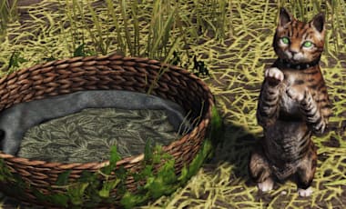A green-eyed wild cat wearing a leather collar stands on its hind legs beside a woven basket bed in a grassy area.