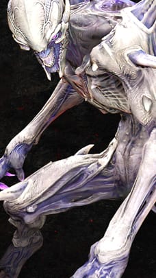DE.TAG.P2.StoneImp 304x540