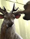 TESL_Wilds_Incarnate_ARTICLE_1315x315.jpg