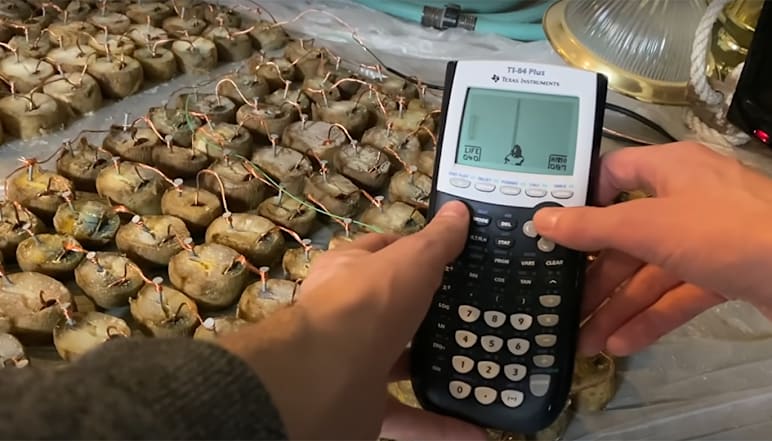 DE IRD Potatoes in-body