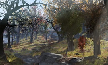 Fallout76_LargeHero_ForestStream_1920X870.jpg