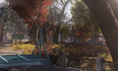76_LargeHero_ForestTree_1920X870.jpg