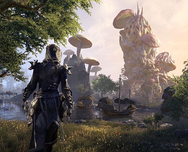 ESO_Article_Dashboard_SoloGuide_619x499.jpg