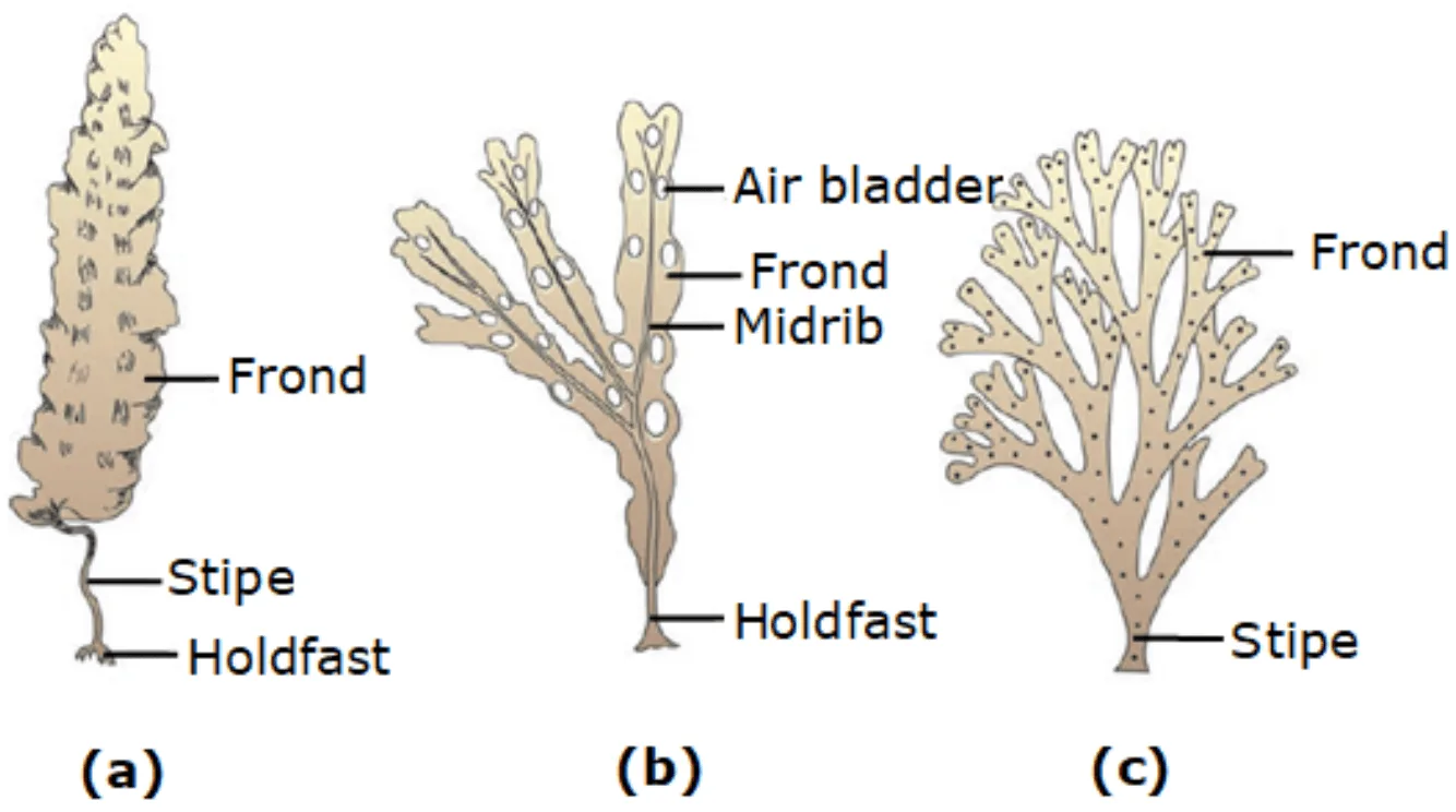 Screenshot 2026-04-20 at 11.03.06 AM.png