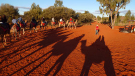 ラクダでサンライズ英語ツアー