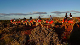 ラクダでサンセット英語ツアー