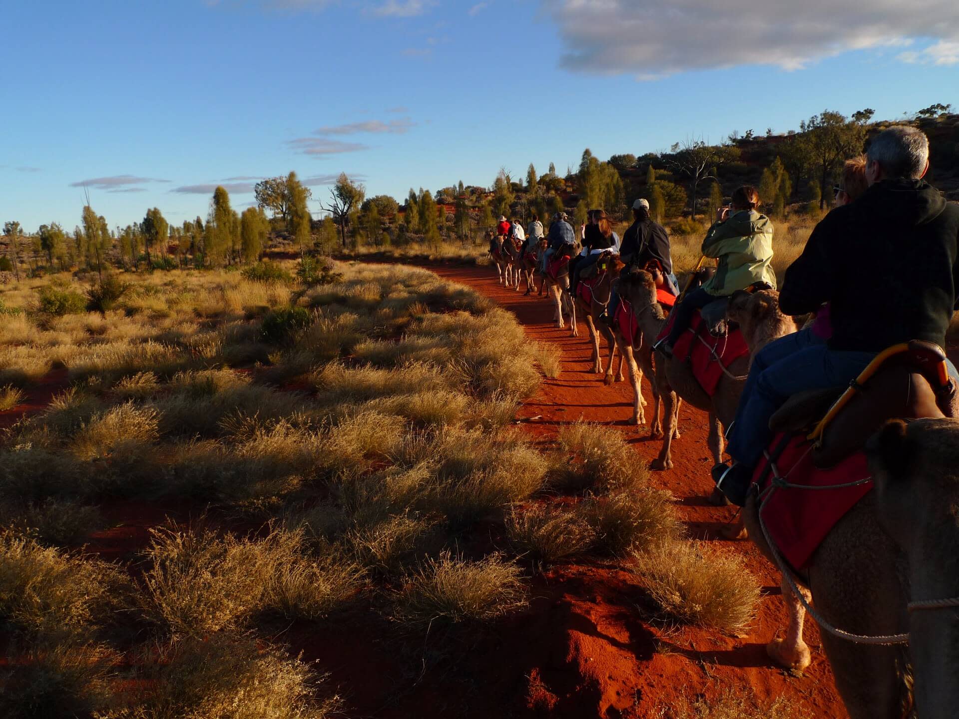 【早朝/夕方】ラクダでウルルのサンセット/サンライズをみに行こう！