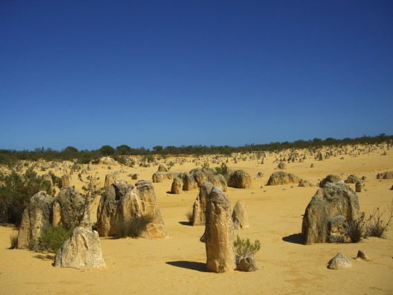 ピナクルズに到着