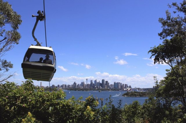 タロンガ動物園到着