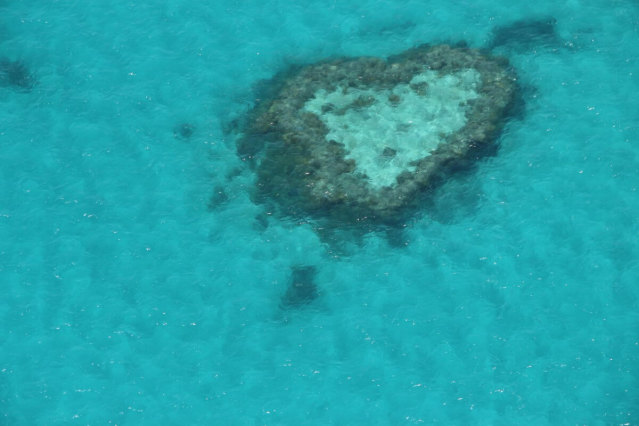 ウィットサンデー諸島遊覧飛行