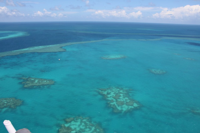 オプションでハートリーフへ