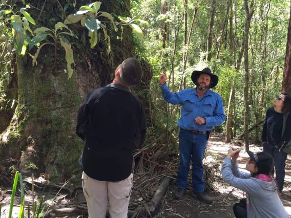 ポートキャンベル国立公園