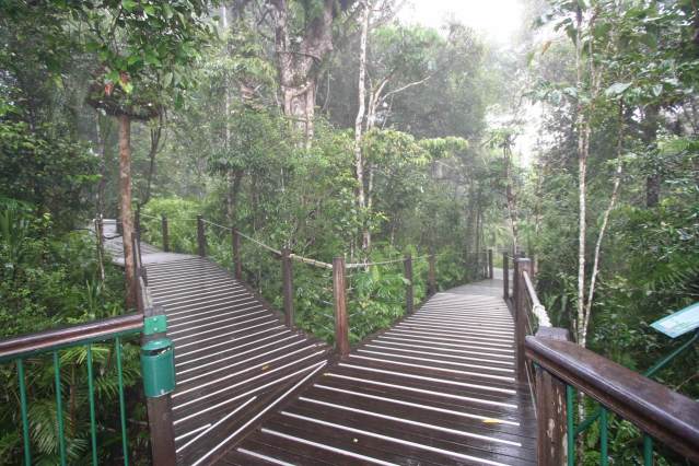 レッドピーク駅で途中下車