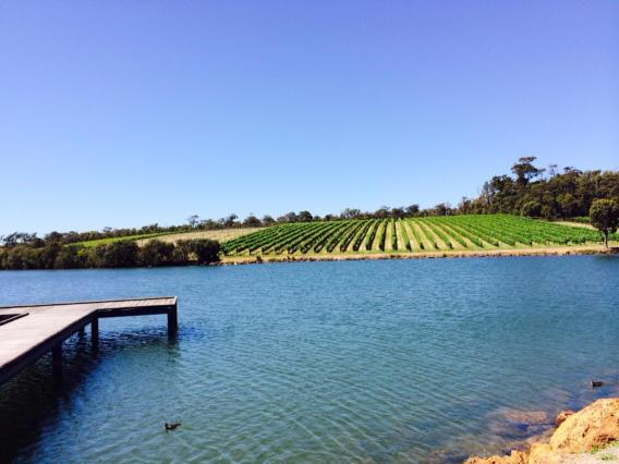 5日目：マーガレットリバー