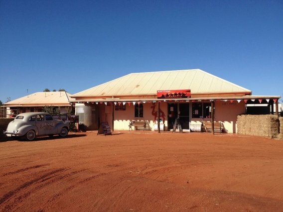 ラクダファーム到着