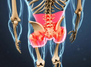 Rowing Machine Butt Pain