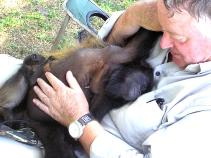 David with a monkey