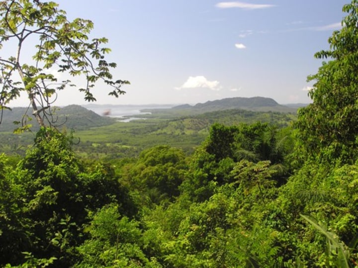 View from the sanctuary