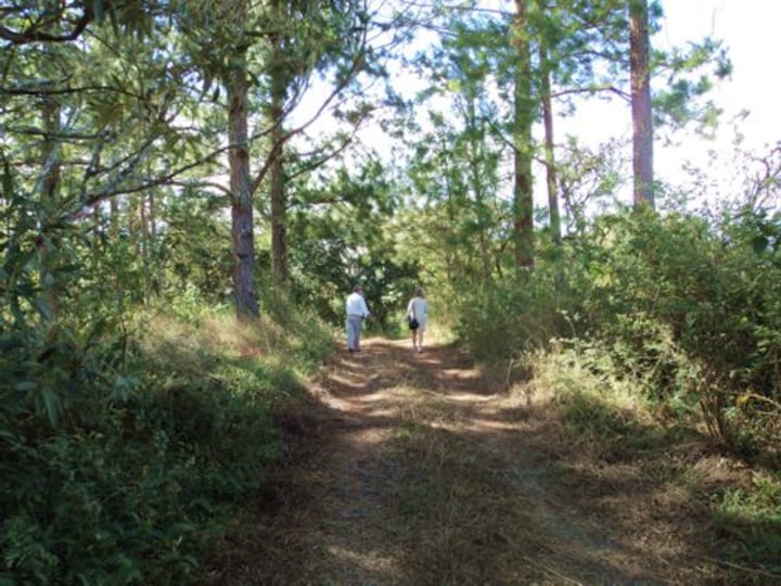 Two people walking