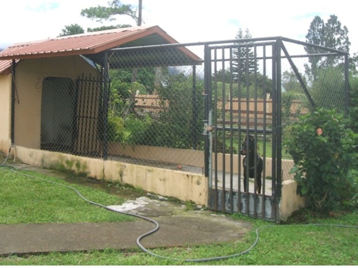 dog pen