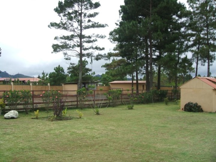 horse stable and a chicken coop