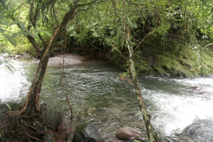 River swim hole