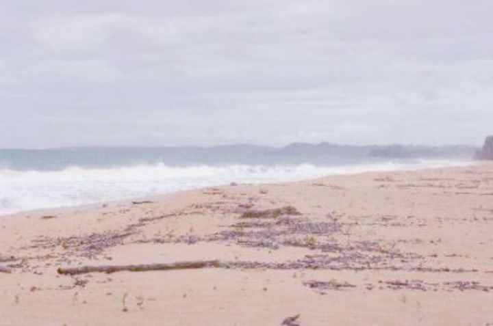 Beach view from lot