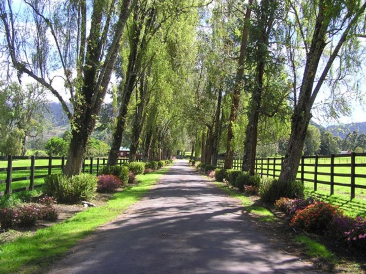 road leading to restaurant