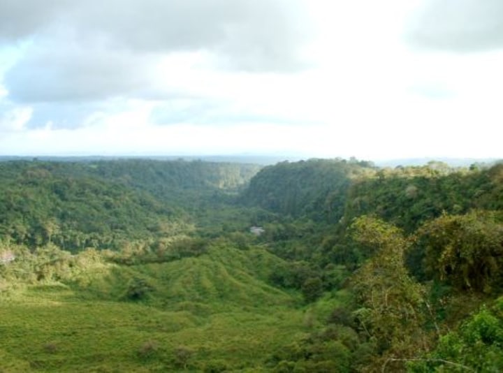 View from the home