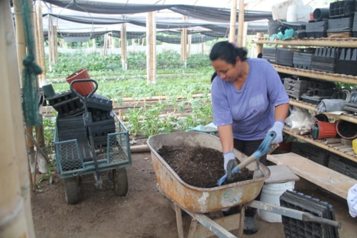 Workers at the farm