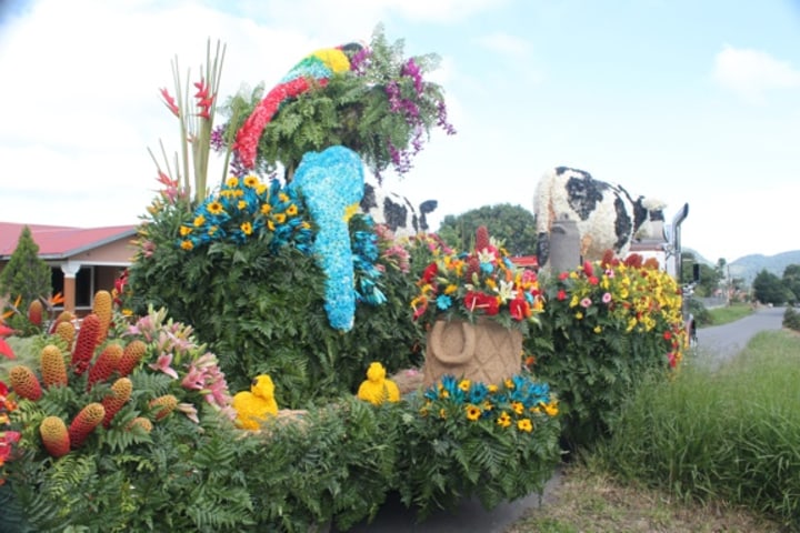 Volcan flower parade