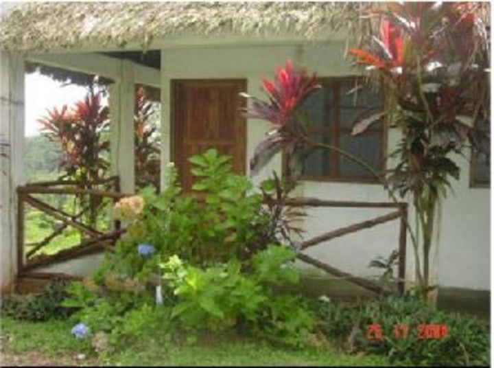 Cabin on the property