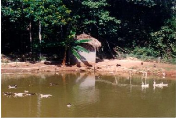 Cabin on the property side view