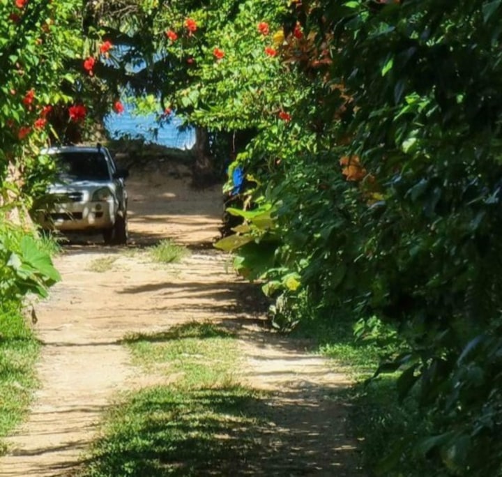 Road in front of the home