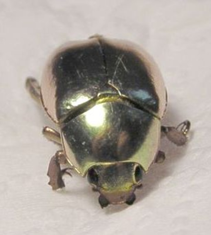 Gold Beetle