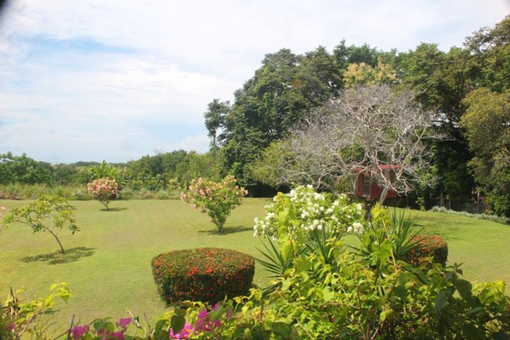 View of the property