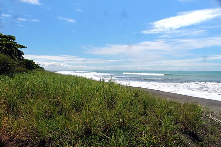 Beach in the lot