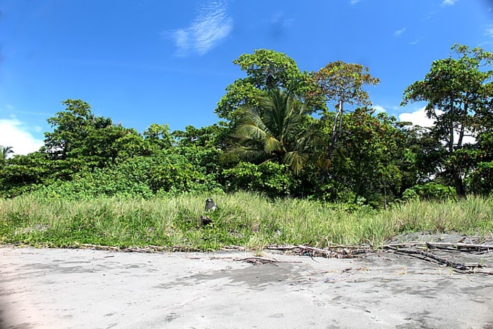 Beach in the lot