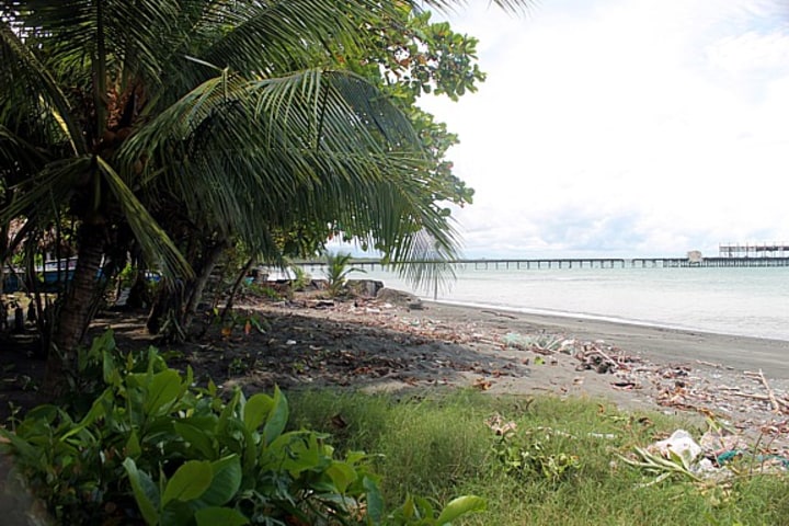 Beach from lot