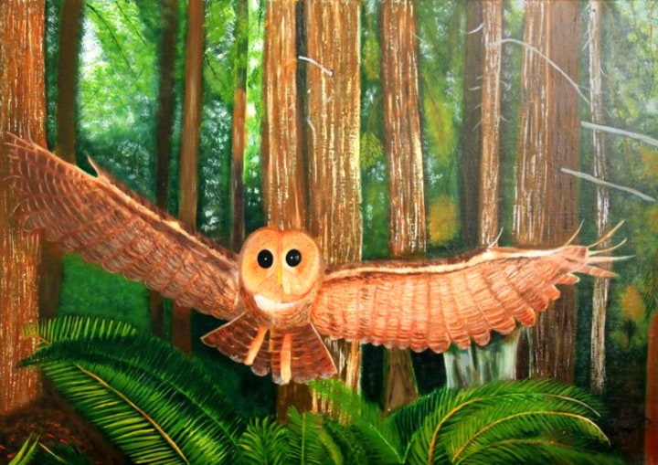 Painting of an owl by Itzel Gonzalez