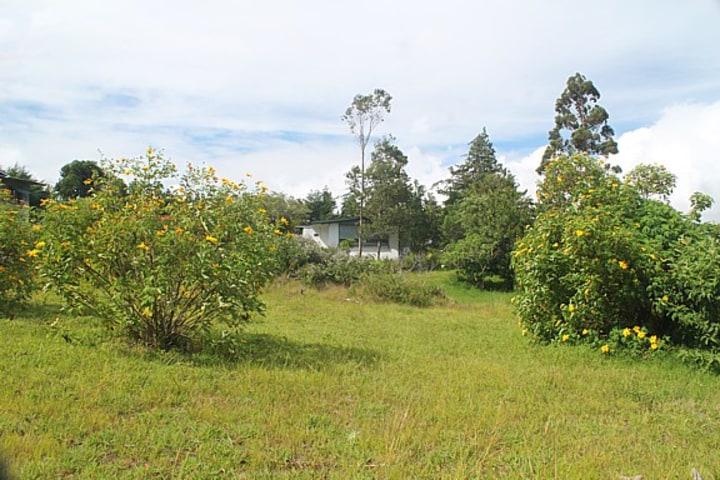 Garden of the home