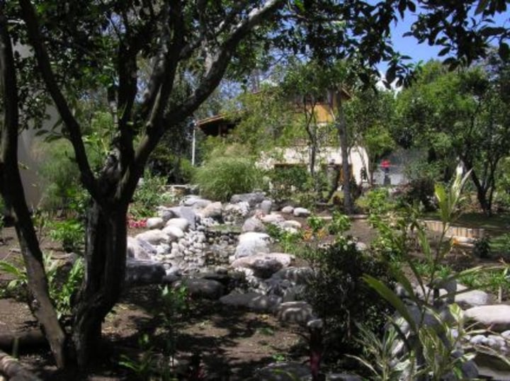 The garden looking at the house