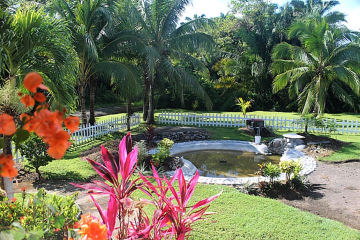 Pond on the property