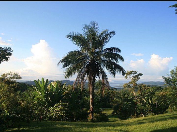 View from the property