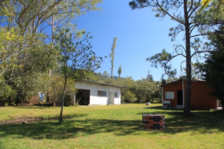 Front yard and pond