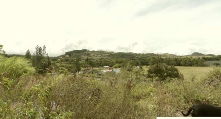 Panorama of the land