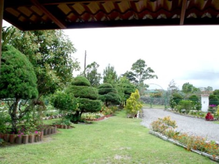 garden